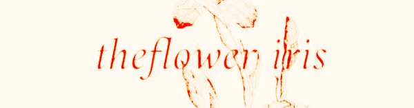 theflower iris