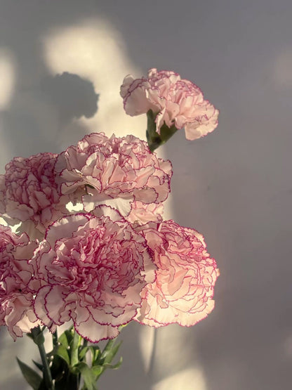 Coming Soon | The Carnation Skirt